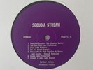 Sequoia Stream Private Press College Vinyl LP Folk Jazz VG+ Rare Acid Archives