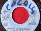 WILLO & POPS _ Cosmic Modern Soul _ DO WHAT YOU WANNA DO 45 Trinidad 7