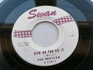 THE BEATLES USA  SWAN  45    HOW DO YOU DO IT      KOMM GIB MIR DEINE HAND