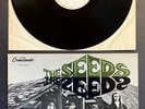 THE SEEDS Self Titled  1966 TEST PRESSING LP Mono Orig Sky Saxon Psych
