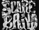 Jpt Scare Band - Acid Acetate Excursion/Rape Of The Titan`S Sirens VINYL LP NEUF