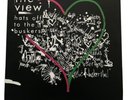 The View - Hats Off The The Buskers *Rare* RSD