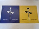 Depeche Mode ‎– Enjoy The Silence - 2 x 12