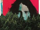 CORNELL, Chris/SOUNDGARDEN/TEMPLE OF THE DOG/AUDIOSLAVE - Chris Cornell - 2xLP