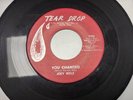 Joey Welz - You Changed / Baby Let Your Hair Hang Down 45 Tear Drop Garage Rock