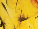 CRUMB - JINX [VINYL]