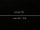Lungfish Indivisible  (Vinyl)  12