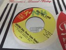DARLENE LOVE: CHRISTMAS (BABY PLEASE COME HOME)  7