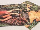 2 X ROXY MUSIC Vinyl LPs Inc: 'Country Life' & 'Stranded' - ZZ2
