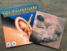 BUTTHOLE SURFERS Electriclarryland 12