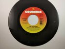 The Offspring Pretty Fly (For a White Guy) Columbia Records 45rpm Vinyl Record