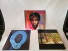 Childish Gambino 3X LP Vinyl, albums, Camp, Because The Internet, Awaken My Love