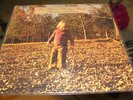 VINYL RECORD LP THE ALLMAN BROTHERS BAND BROTHERS AND SISTERS CAPRICORN CP 0111