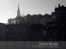 And Also the Trees Bone Carver LP Vinyl NEW