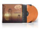 VERDENA - Solo Un Grande Sasso (Doppio Vinile Colorato Numerato)