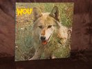 Vinyl-LP: DARRYL WAY'S WOLF - Canis Lupus (1973) UK First Press