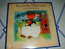 CAT STEVENS vintage 1970's 