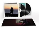 Laurent Voulzy - Lys & Love - Double Album Vinyle