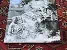 Rage Against the Machine by Rage Against the Machine (Record, 2009)