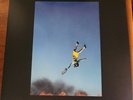 Yeah Yeah Yeahs - Cool It Down w/ RARE SIGNED Photo Set - Splatter Vinyl