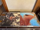 Pink Floyd (Wall/Moon/Wish) - Obscured By Clouds & Meddle Vinyl 2016 EU Rare Lot