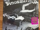 Dinosaur Jr. Beyond 2007 Press with bonus 7