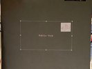Penelope Scott ‎– Public Void - Pink Vinyl - LP - NEW