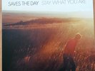 Saves The Day Stay What You Are Vagrant Records Vinyl Emo Indie Rock
