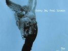Sunny Day Real Estate The Rising Tide (Vinyl)