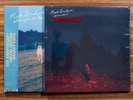 Phoebe Bridgers Vinyl Records. Punisher(swirly) and Stranger in the Alps(galaxy)