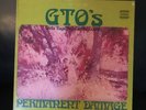 GTO'S Permnent Damage STS 1059 Promo Copy