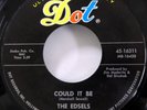The EDSELS 45 My Whispering Heart / Could It Be DOT doowop VG++    Kz 942
