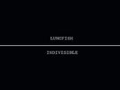 Lungfish - Indivisible  [VINYL]