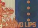 THE FLAMING LIPS Zaireeka RSD 4 LP colored Vinyl Box Set RARE OOP Wayne Coyne