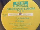 Future Sound Of Hardcore - Vol. 2 (12
