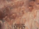 Agnes Obel Citizen of Glass (Vinyl) 12