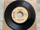SYNDICATE OF SOUND Little Girl b/w You 1966 Garage Psych 45 Hush EX