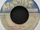 I-Roy & The Ebony Sisters 70s Reggae 45 on Moodisc   Let Me Tell You Boy   Hear