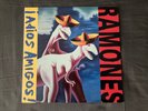 Ramones Adios Amigos LP Radioactive Records 1995 vinyl