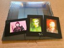 NEW SUPER RARE Yeah Yeah Yeahs - Cool It Down COLORED Vinyl LP SIGNED