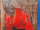 BIG DADDY KANE 'AIN'T NO HALF-STEPPIN'/GET INTO IT' OLD SKOOL/HIP HOP/RAP  1988