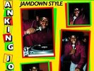 RANKING JOE SATURDAY NIGHT JAMDOWN STYLE Records & LPs New