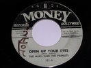 The M-M's And The Peanuts Open Up Your Eyes Lil Valley 45 RPM Money Label