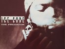 The Predator LP by Ice Cube 90s west coast hip hop gangsta rap rare vinyl