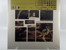 Merzbow / Genesis Breyer P-Orridge - A Perfect Pain Vinyl LP Gold Color Variant