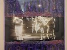 Temple Of The Dog Self Titled 2LP Vinyl 2016 Reissue Etched SEALED hunger strike