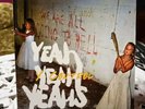 Yeah Yeah Yeahs Y Control 7” single Polydor Records SHIPS FREE