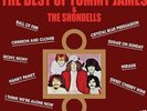 Tommy James & the Sh - The Best Of Tommy James & The Shondells [New Vinyl LP]