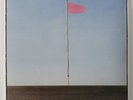 WIRE 'Pink Flag' Vinyl LP NEW/SEALED