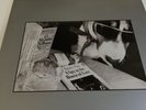 The House of Love - A Spy in the House of Love original vinyl LP